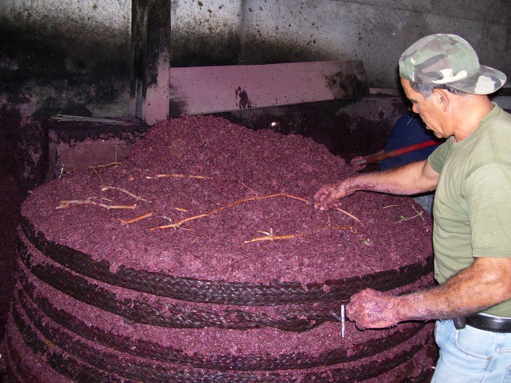 Etna Wine Azienda Agrituristica Passopisciaro Esterno foto