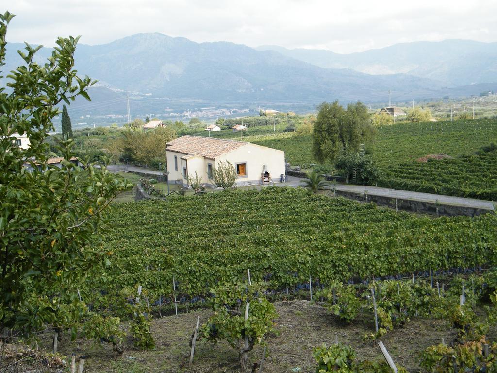 Etna Wine Azienda Agrituristica Passopisciaro Camera foto
